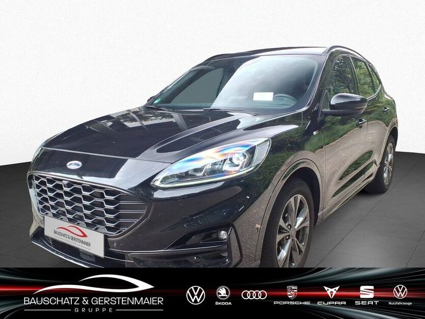 Kuga