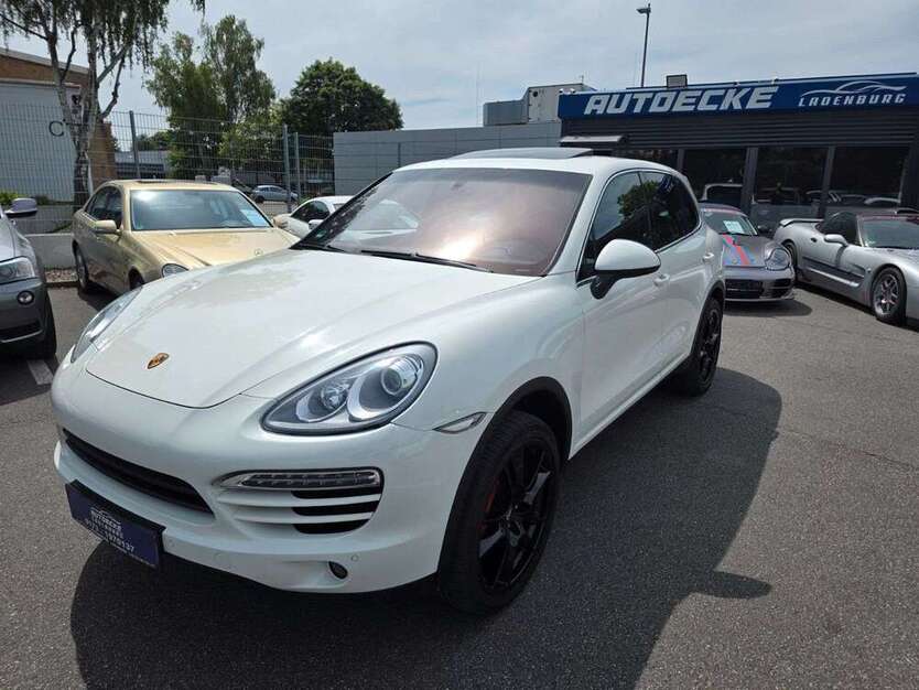 Cayenne