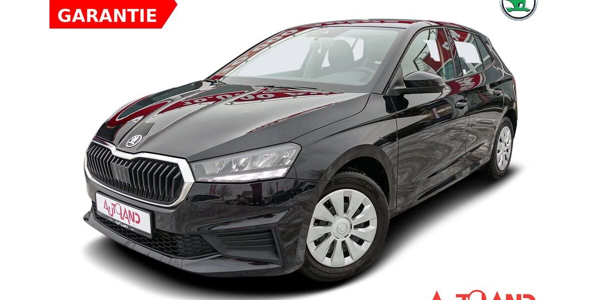 Skoda Fabia 41.218 km 15.950 &euro; Dresden 01069