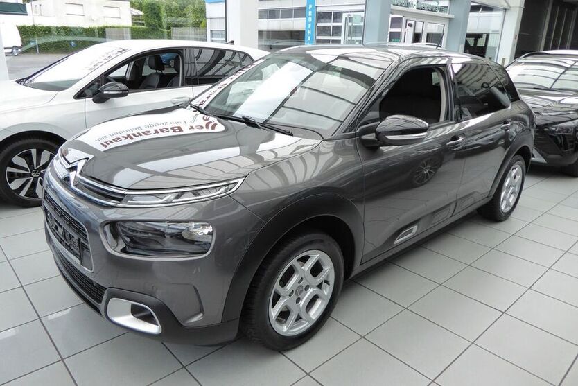 C4 Cactus