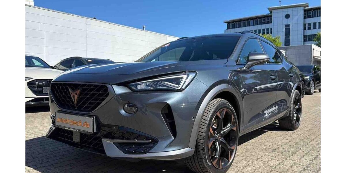 Cupra Formentor 19.471 km 27.950 &euro; Hamburg 22047