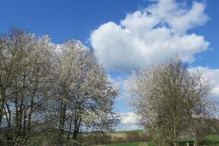 Großes Haus mit Keller und Garten nähe Hennef Uckerath 6 zimmer