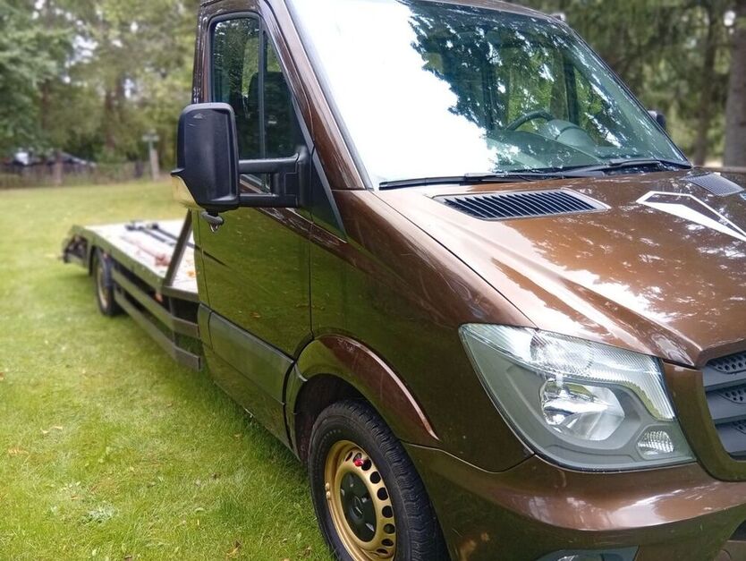 Sprinter