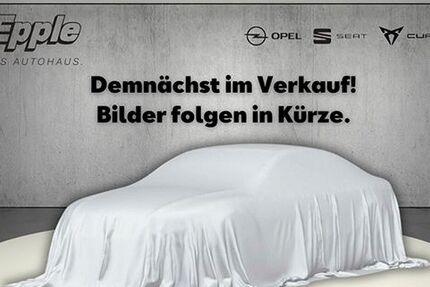 Seat Ibiza 22.045 km 18.490 € Rutesheim 71277