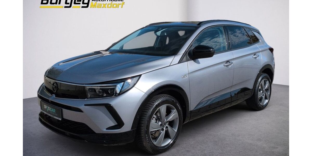 Opel Grandland (X) 8.800 km 24.980 € Maxdorf 67133