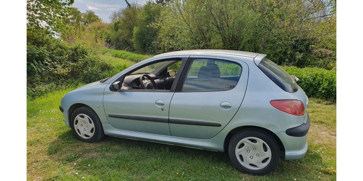 Peugeot 206 254.000 km 1.400 &euro; Nierstein 55283