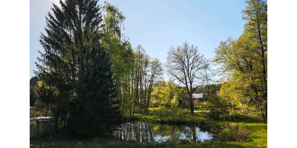 Bungalow Coswig (Anhalt) - 3 Zimmer, 80 m&sup2;, 135.000&euro; | Angebot:26935778