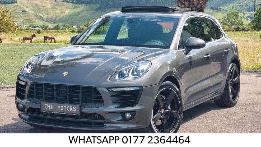 Macan