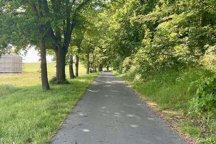 Grundstück Neubukow - 90.750&euro; | Angebot:25193106