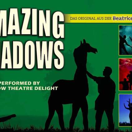 AMAZING SHADOWS
