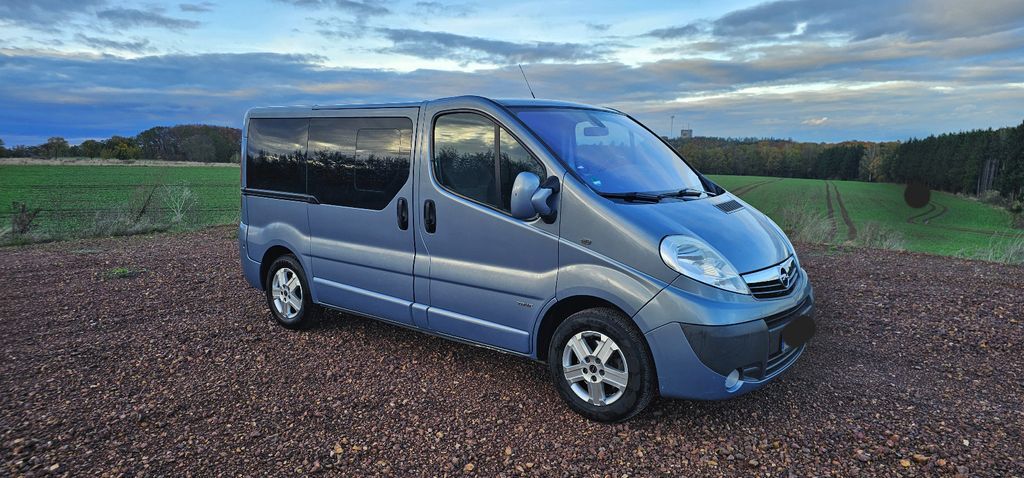 Opel Vivaro 243.632 km 6.500 € Mülsen 08132