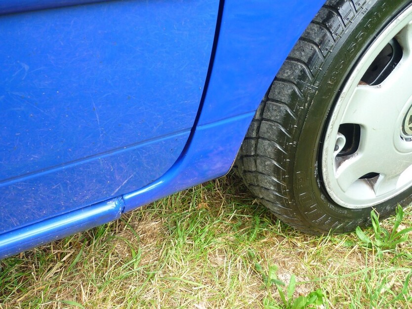 Lupo