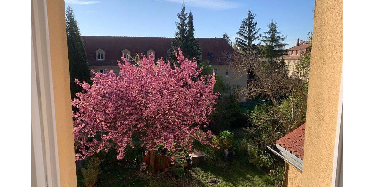 Zimmer Dresden Reick - 2 Zimmer, 47 m&sup2;, 410&euro; | Angebot:26276032