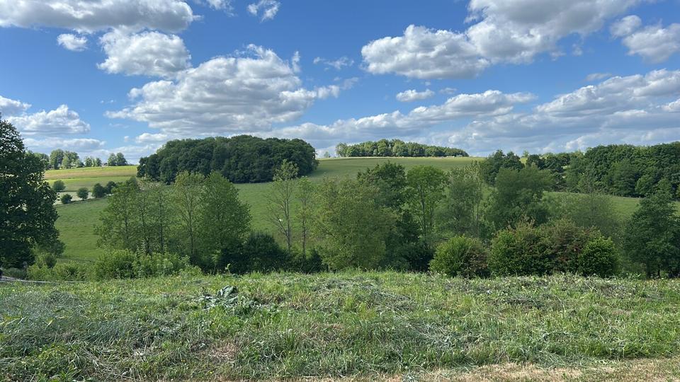 Doppelhaushälfte Neunkirchen-Seelscheid Seelscheid - 4 Zimmer, 162 m&sup2;, 2.200&euro; | Angebot:24443605