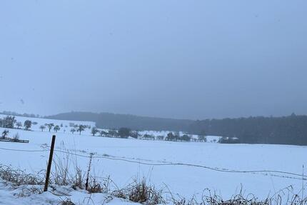 Wohnung Marburg Cappel - 1 Zimmer, 30 m&sup2;, 295&euro; | Angebot:25422453