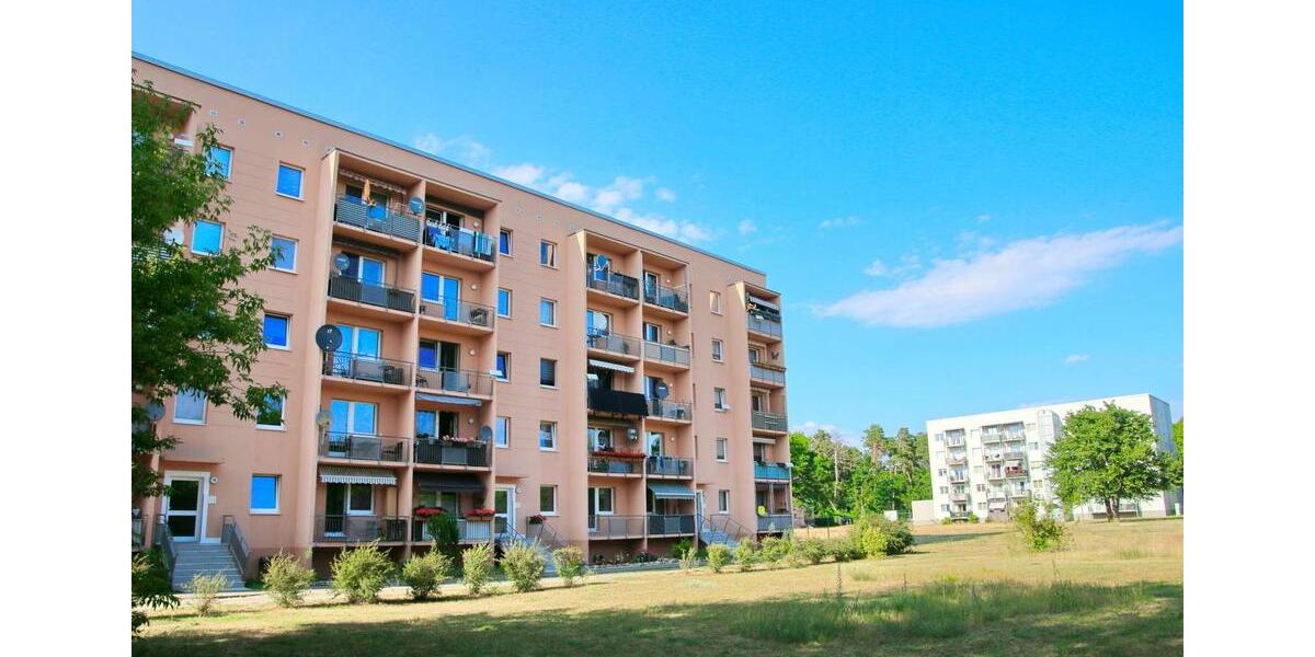 Waldesruh - frisch renovierte 4-Zimmer-Wohnung mit viel Raum zum Wohlfühlen 4 zimmer