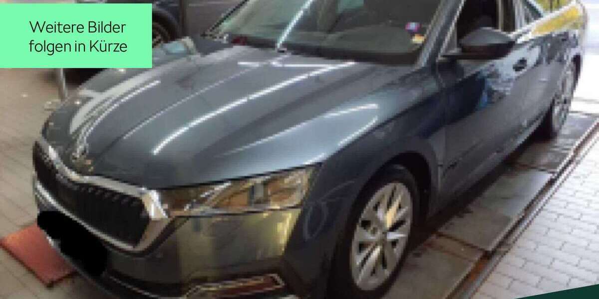Skoda Octavia 61.606 km 20.990 &euro; Hofheim Am Taunus 65719