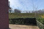 Erdgeschoßwohnung Lingen (Ems) - 3 Zimmer, 90 m&sup2;, 800&euro; | Angebot:26662377