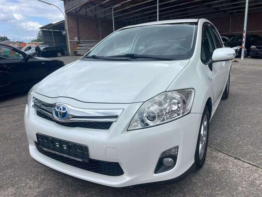Auris