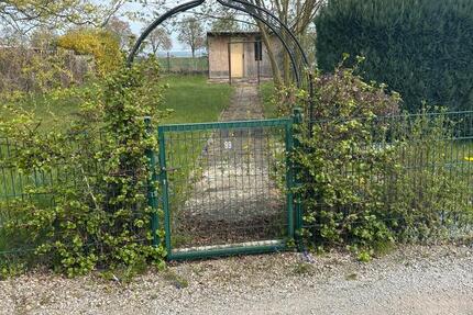 Grundstück Mühlhausen (Thüringen) - 250&euro; | Angebot:26237197