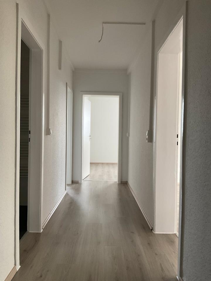 3 Zimmer Wohnung zimmer