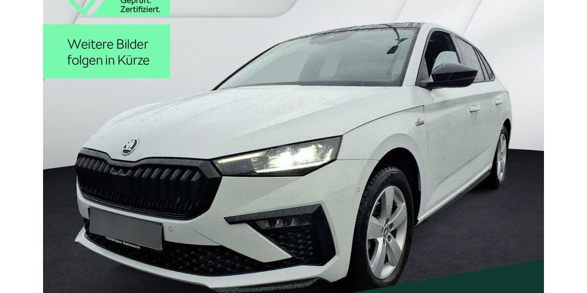 Skoda Scala 28.100 km 26.999 &euro; Mühlheim 63165