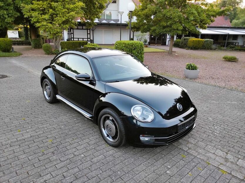 Beetle