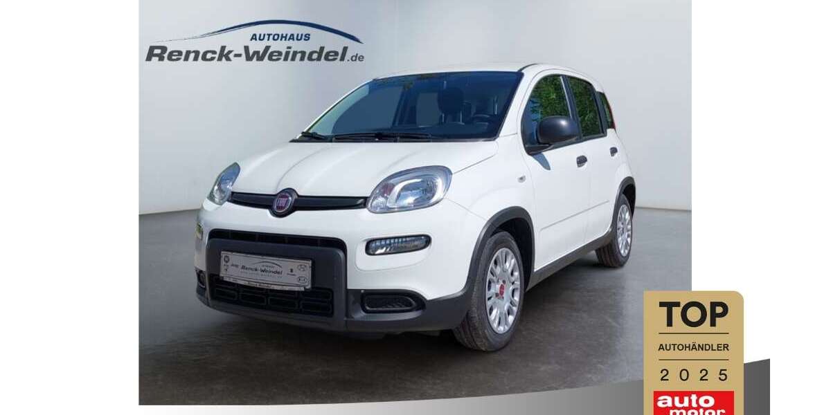 Fiat Panda 32.469 km 12.489 &euro; Ludwigshafen 67071