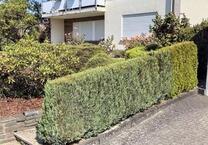 Helle 2-Zimmer-Wohnung am Lindenberg Siegen mit Terasse, Naturnah