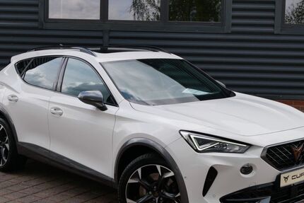 Cupra Formentor 43.890 km 33.590 &euro; Schneeberg 08289
