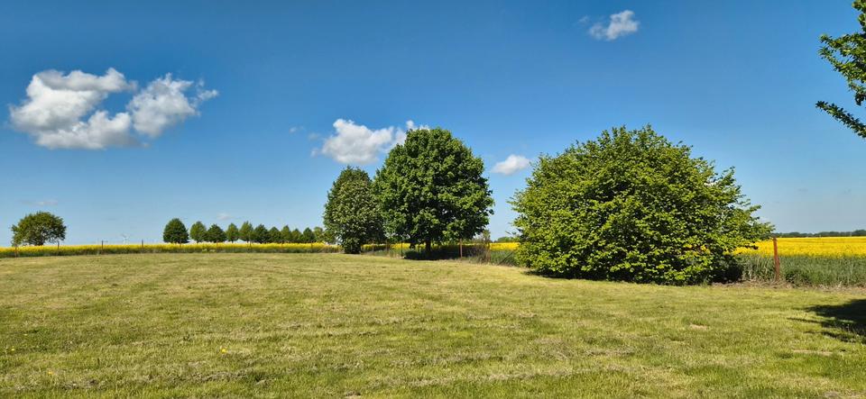 Einfamilienhaus Ducherow - 225.000&euro; | Angebot:26960562