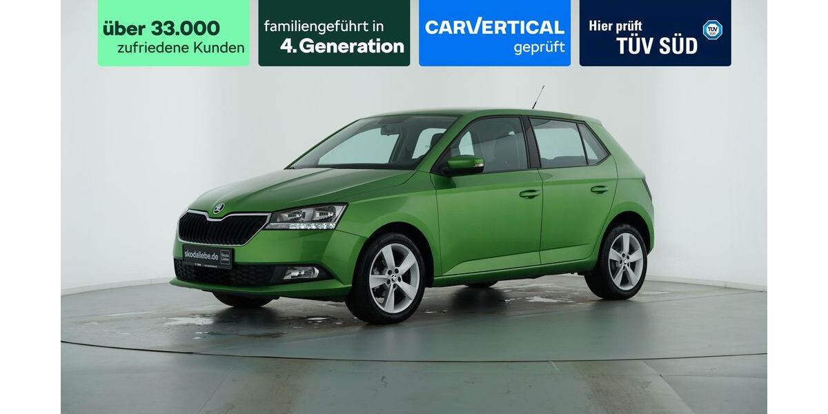 Skoda Fabia 88.023 km 9.889 &euro; Lutherstadt Eisleben 06295