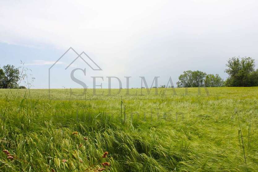 Haus zum Kaufen in Seefeld 1.430.000 € 245 m²