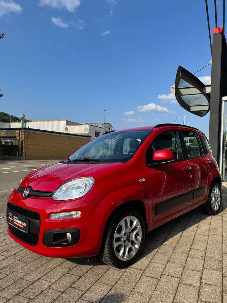 Panda