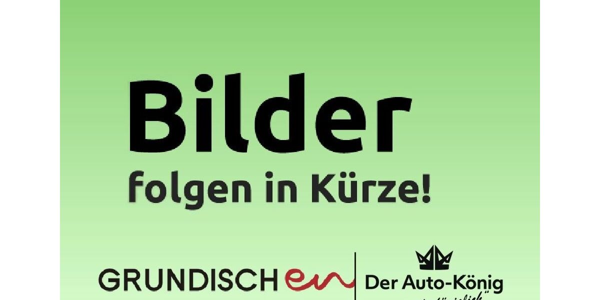 Seat Leon 79.925 km 17.490 &euro; Oberkotzau 95145