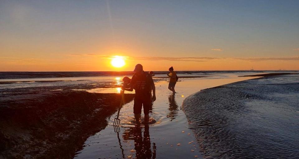 Erdgeschoßwohnung Jade - 2 Zimmer, 37 m&sup2;, 72.000&euro; | Angebot:25495637