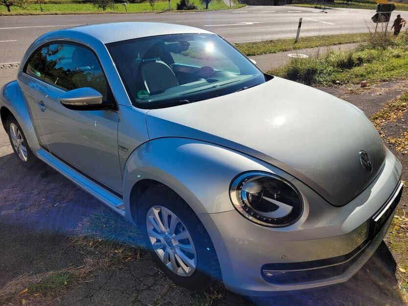 Beetle