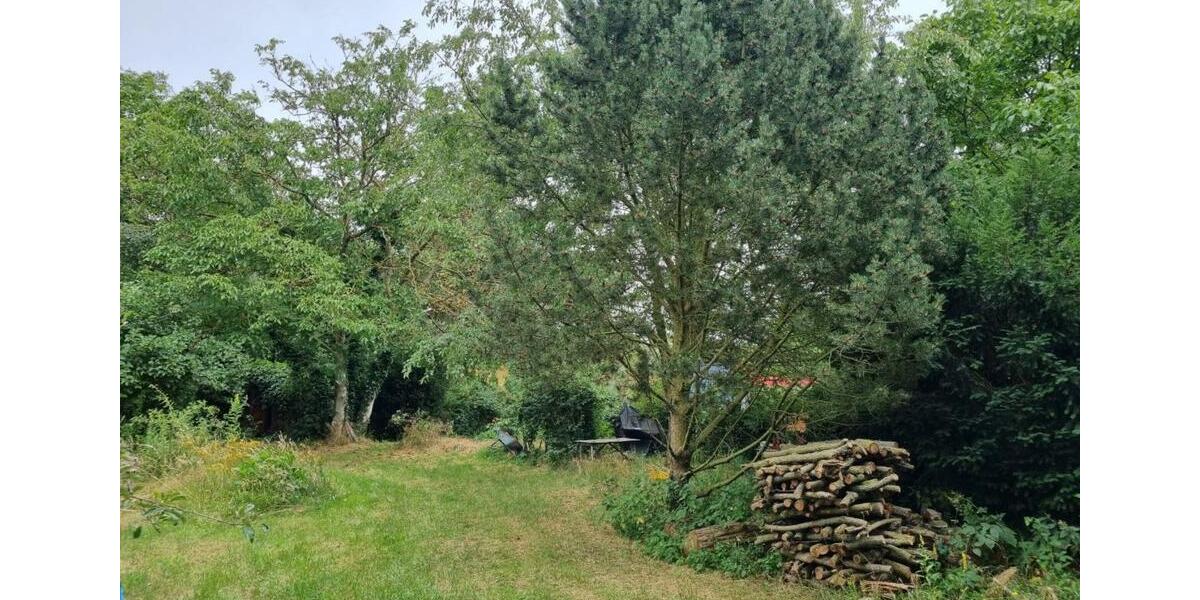 Grundstück Potsdam Potsdam West - 60&euro; | Angebot:25325507