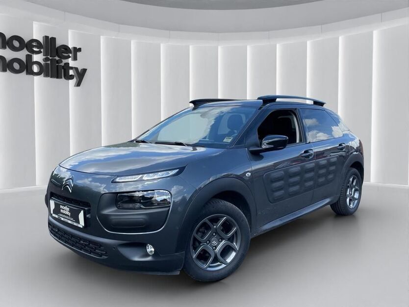 C4 Cactus
