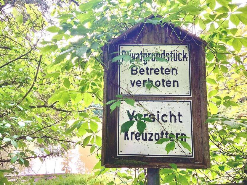 Idyllischer Fischweiher mit großzügigen Freiflächen zu verkaufen!
