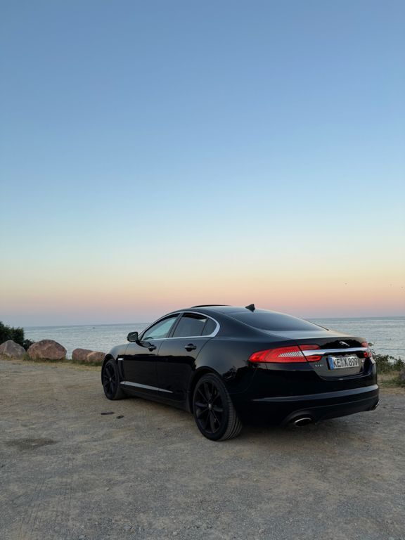 XF