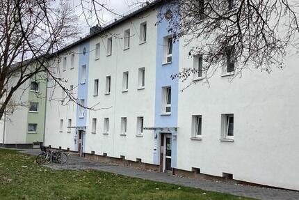 Wohnung Kassel Harleshausen - 3 Zimmer, 59 m&sup2;, 624&euro; | Angebot:25372924