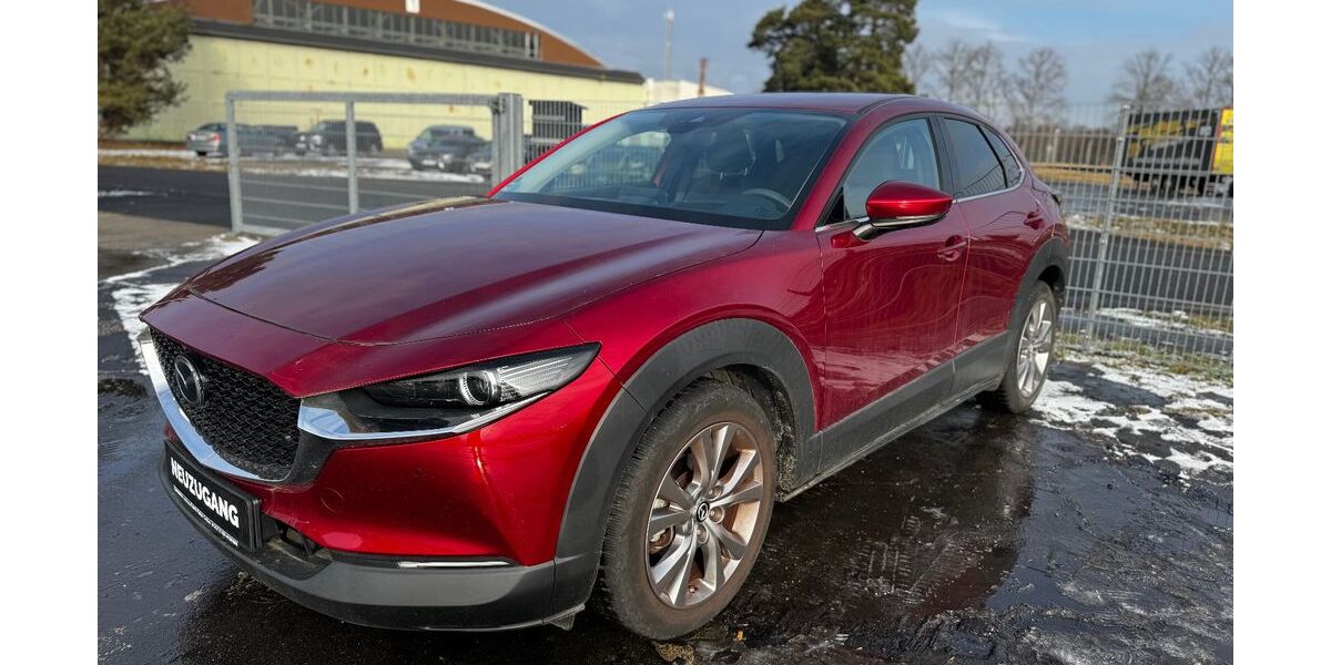 Mazda CX-30 10.979 km 21.988 &euro; Cottbus 03044