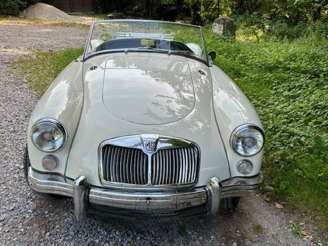 MGA