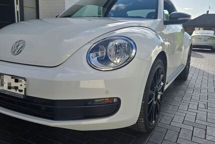 VW Beetle