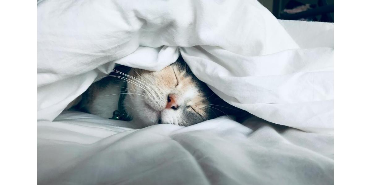 Einfamilienhaus Rheda-Wiedenbrück Wiedenbrück - 4 Zimmer, 155 m&sup2;, 2.100&euro; | Angebot:24643904