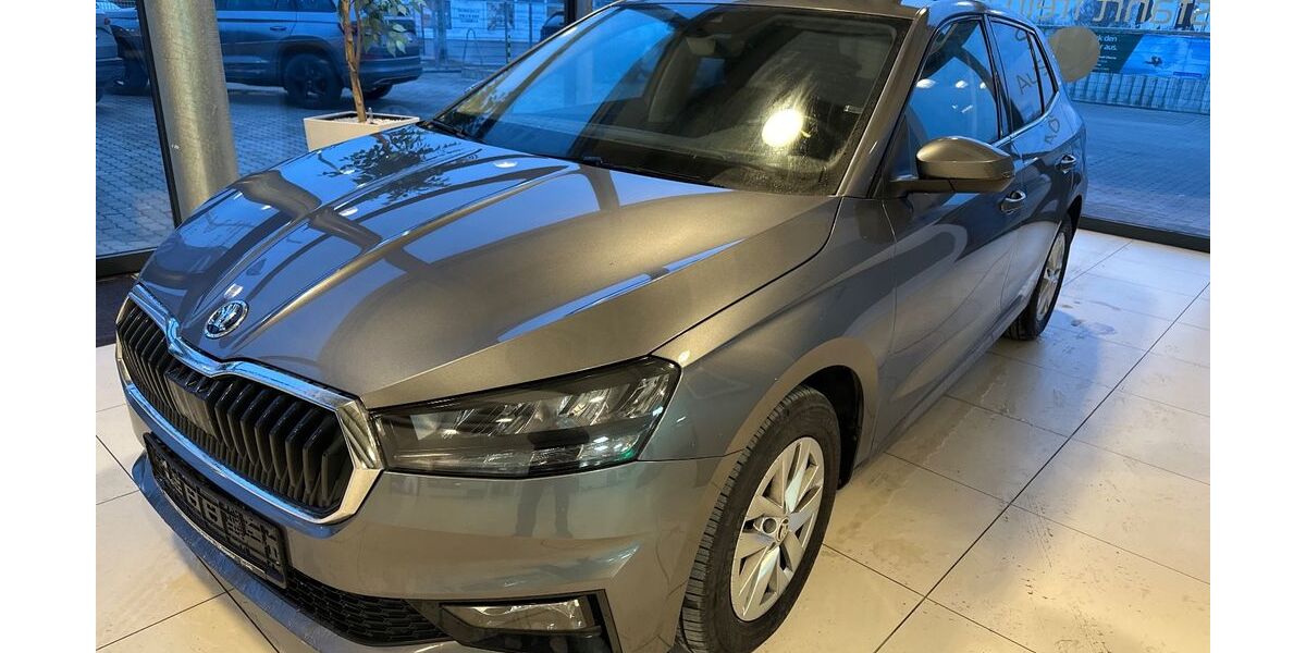 Skoda Fabia 19.763 km 19.500 &euro; Kritzow 23970