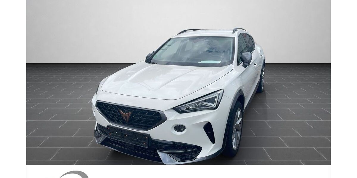 Cupra Formentor 21.279 km 26.800 &euro; Ladenburg 68526