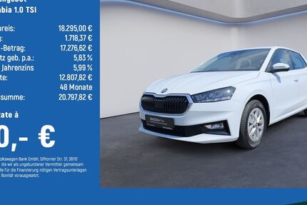 Skoda Fabia 11.000 km 17.595 &euro; Magdeburg 39126