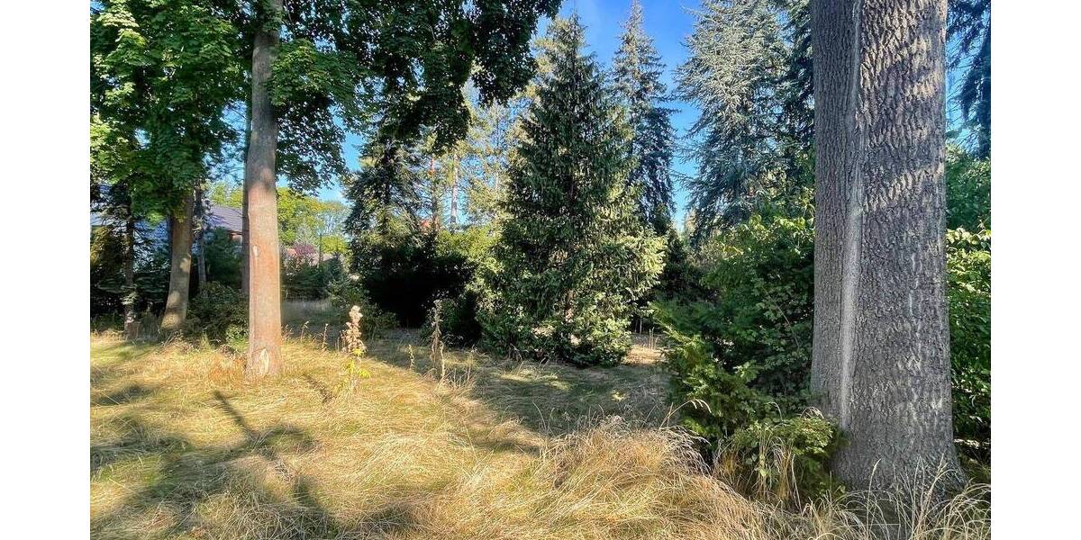 Grundstück Brandis Waldsteinberg - 269.000&euro; | Angebot:22250300